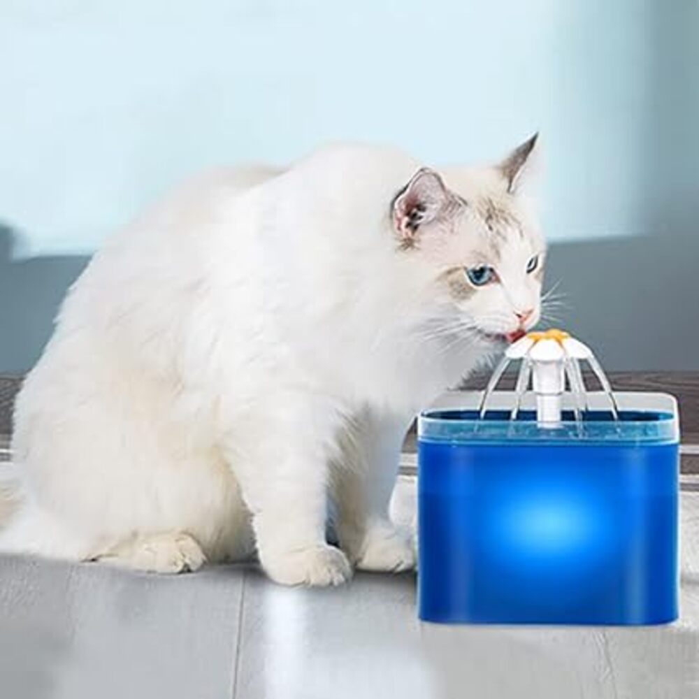Water fountain
