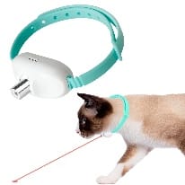 Laser collar toy
