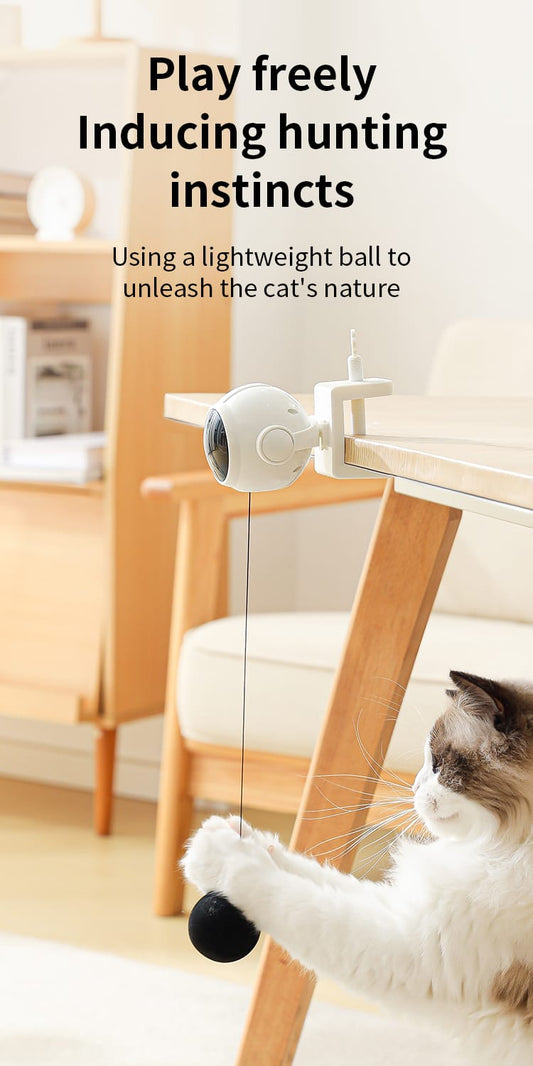 Cat interactive feather toy